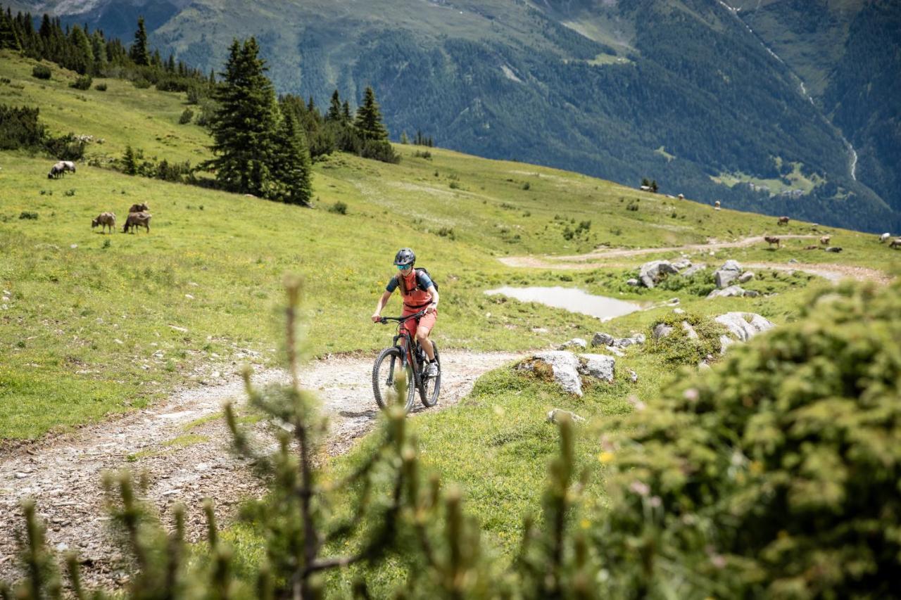 Ferienhaus Gundi Pettneu am Arlberg Ngoại thất bức ảnh